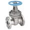 Gate valve Type: 1871 Stainless steel Flange Class 300